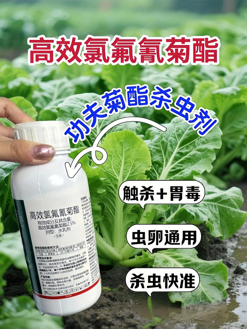 日喀则代生中心:农药对供卵代生妈妈的危害